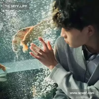 龚韶禹
